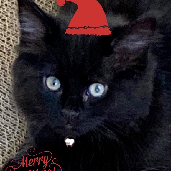 Meet your Posher, Mk - Picture 5 of 12